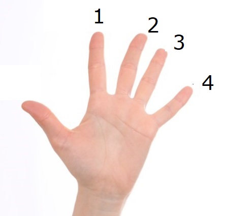 Finger Variations